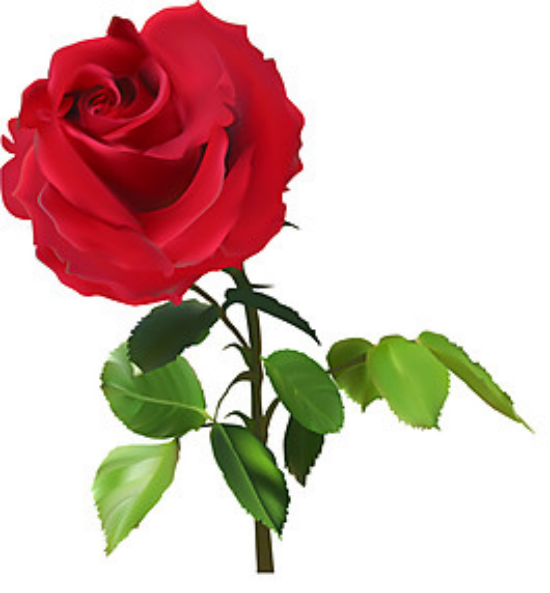 16pic_8822425_s.png