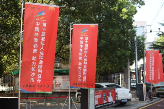 公益体彩助力长沙市第十届老年人运动会门球比赛4.jpg