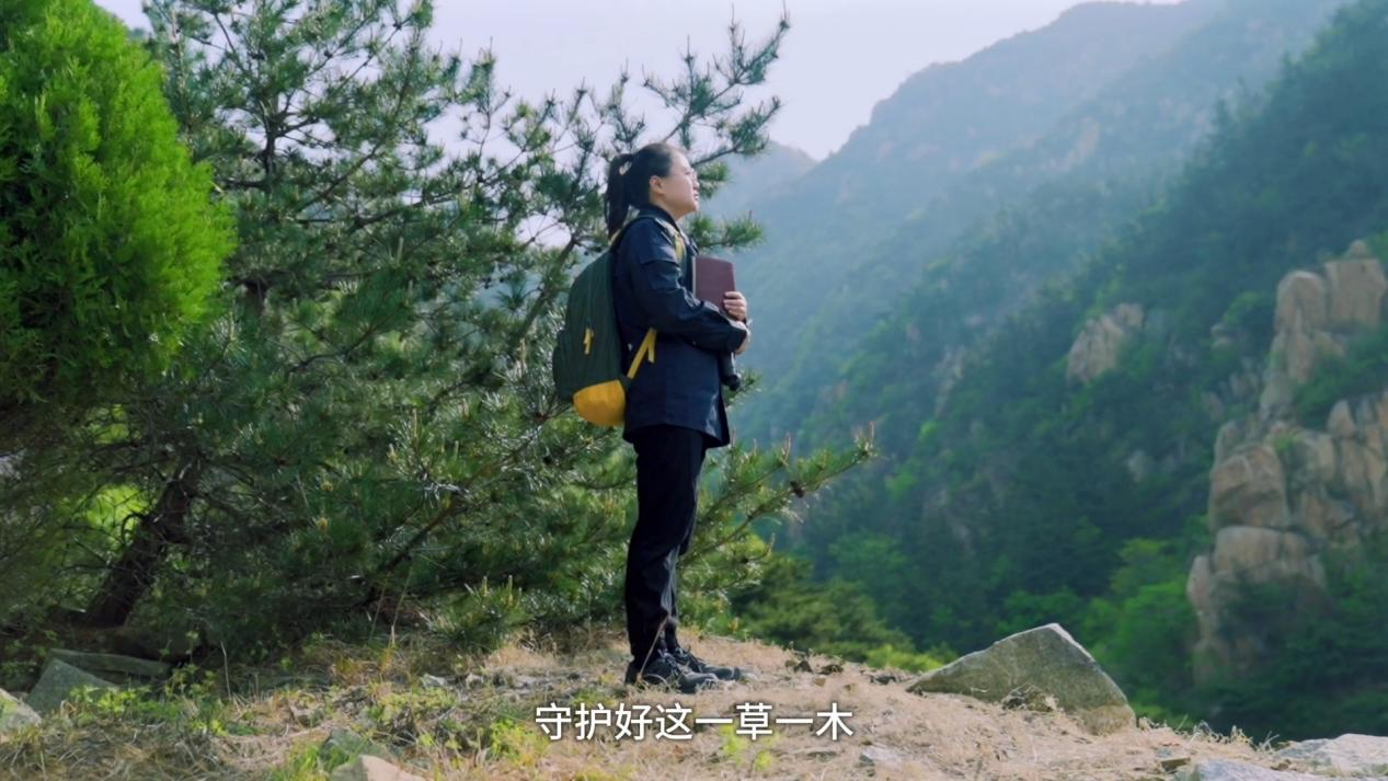 图片 8.png