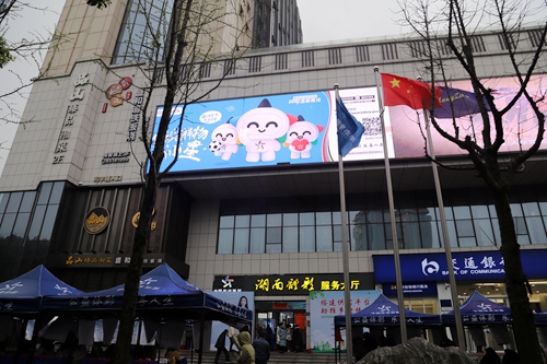 湖南体彩助力“春风行动”现场招聘会2.JPG